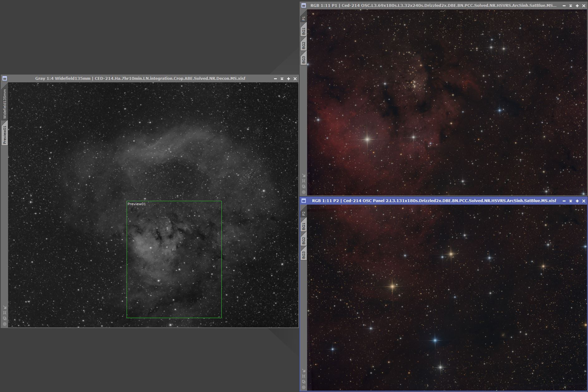 Individual Panels and Widefield Ha after stretching to non-linear