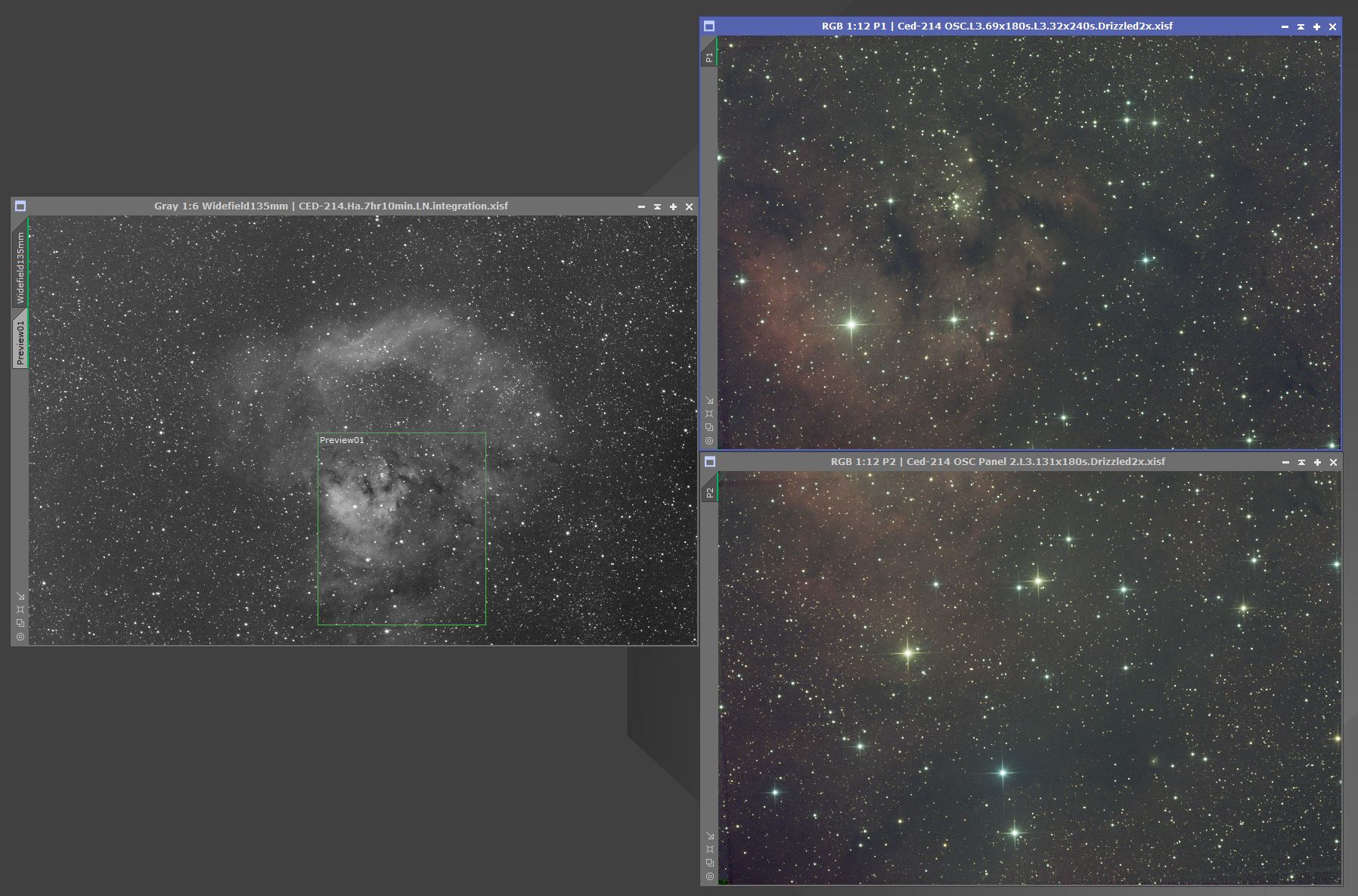 Individual Panels and Widefield Ha before any processing